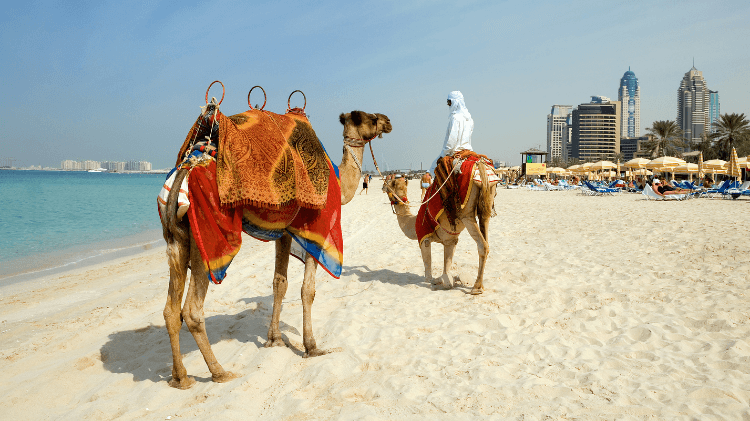Lire la suite à propos de l’article Pourquoi choisir de vivre à Dubaï ? Avantages et inconvénients