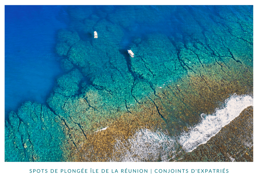 Spots de plongée de l'île de La Réunion
