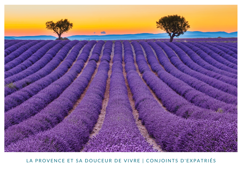 La Provence et sa douceur de vivre
